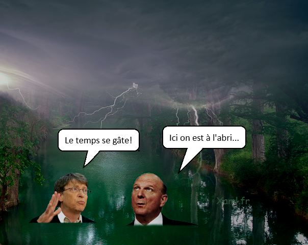 Bill Gates et Steve Ballmer gribouilles dans une mare sous un ciel orageux